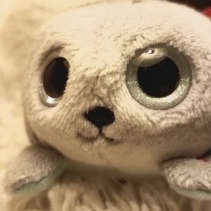Seal Iceberg Mini Plush TY